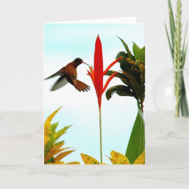 Hummingbird Card (Pose 1) Karte