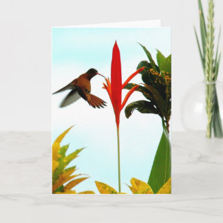 Hummingbird Card (Pose 1) Karte