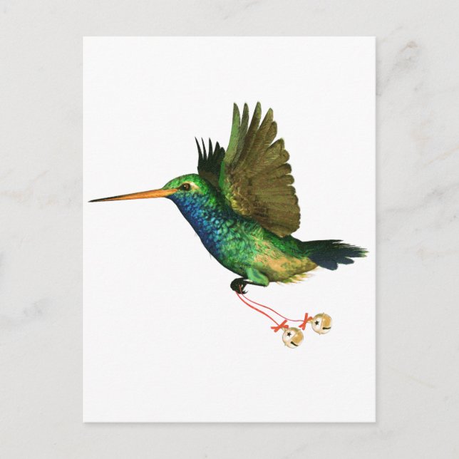 Hummingbird Christmas Feiertagspostkarte (Vorderseite)