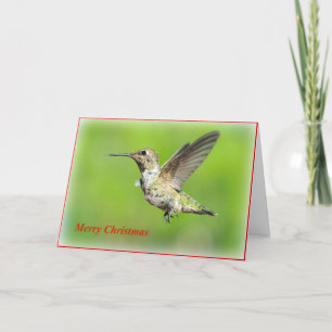 Hummingbird Christmas Grußkarte Feiertagskarte