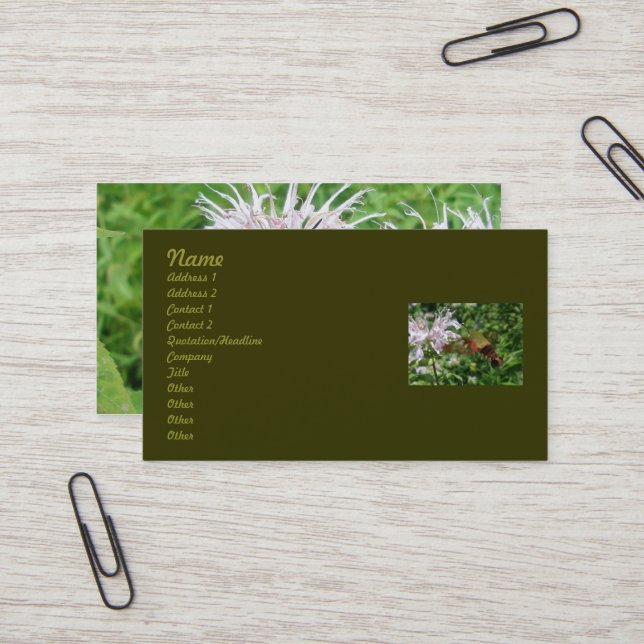 Hummingbird Clear Wing Moth Business Card Visitenkarte (Vorderseite/Rückseite Beispiel)