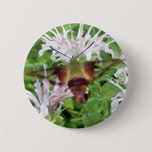 Hummingbird Clear Wing Moth Coordinated Items Button (Vorderseite)