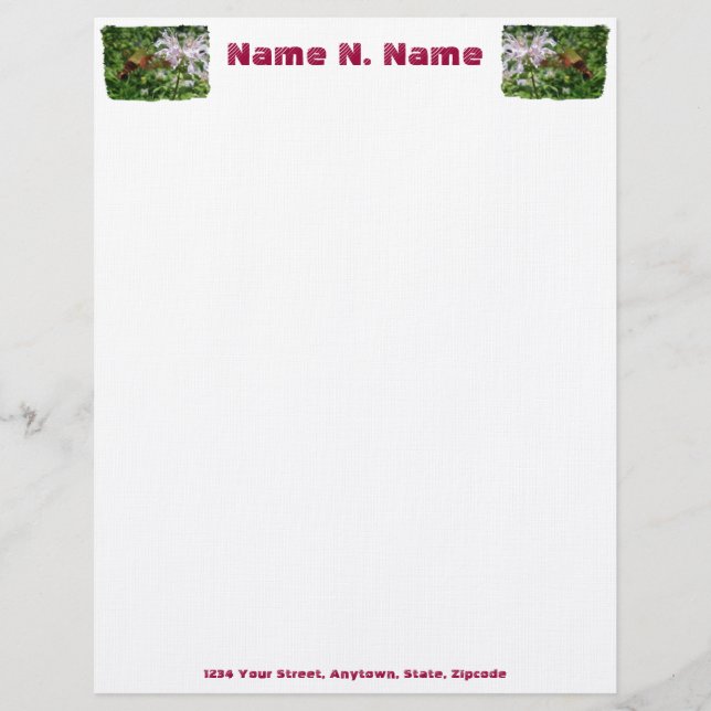 Hummingbird Clear Wing Moth Letterhead Briefkopf (Vorderseite)