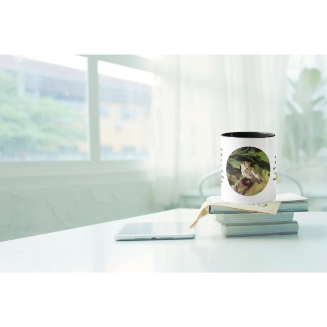 Hummingbird Coffee Cup Tasse (It's a beautiful day why not enjoy your coffee in one of our fun facts hummingbird cups ?)
