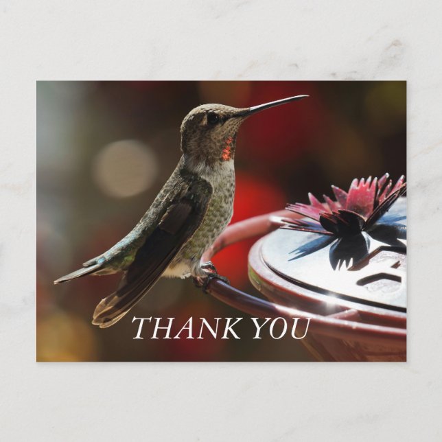 Hummingbird Danke Karte (Vorderseite)