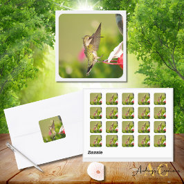 Hummingbird Design #108A0604 Quadratischer Aufkleber