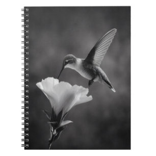 Hummingbird Drink Blume Notebook Notizblock