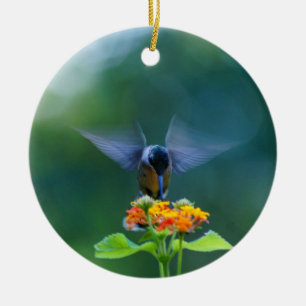 Hummingbird Engel Wings Ornament