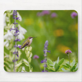 Hummingbird-Erholung Mousepad