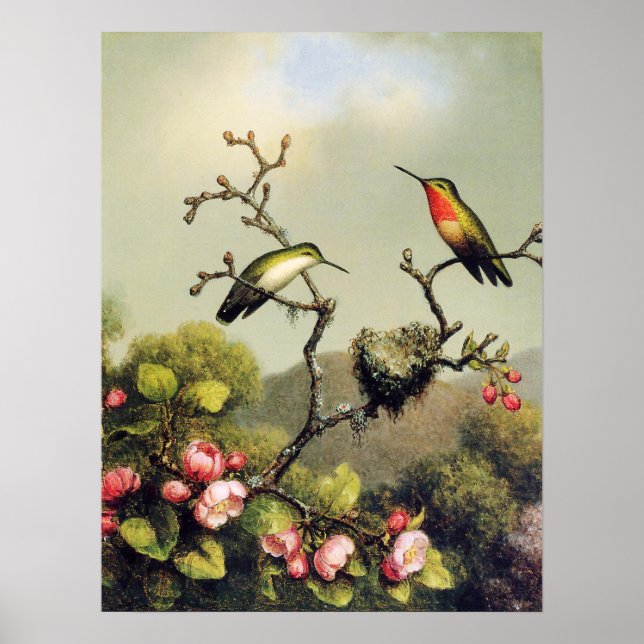 Hummingbird Family and Apple Blossom Poster (Vorne)