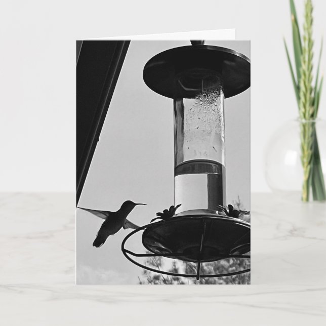 Hummingbird feeder karte (Vorderseite)
