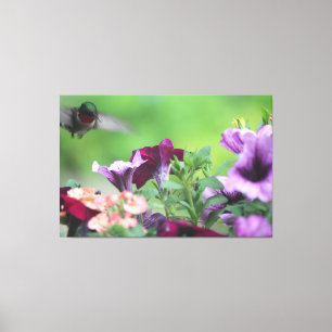 Hummingbird Floral Print Leinwanddruck