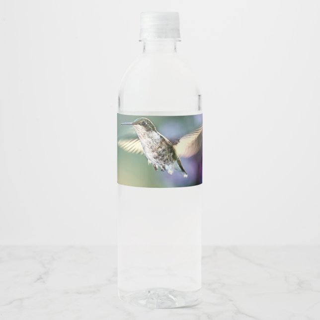 Hummingbird Flying (Vorderseite)