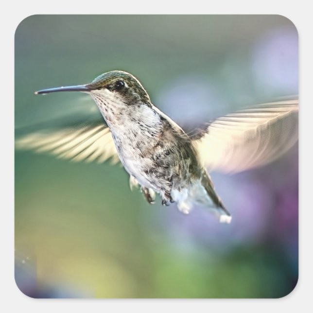 Hummingbird Flying Quadratischer Aufkleber (Vorderseite)