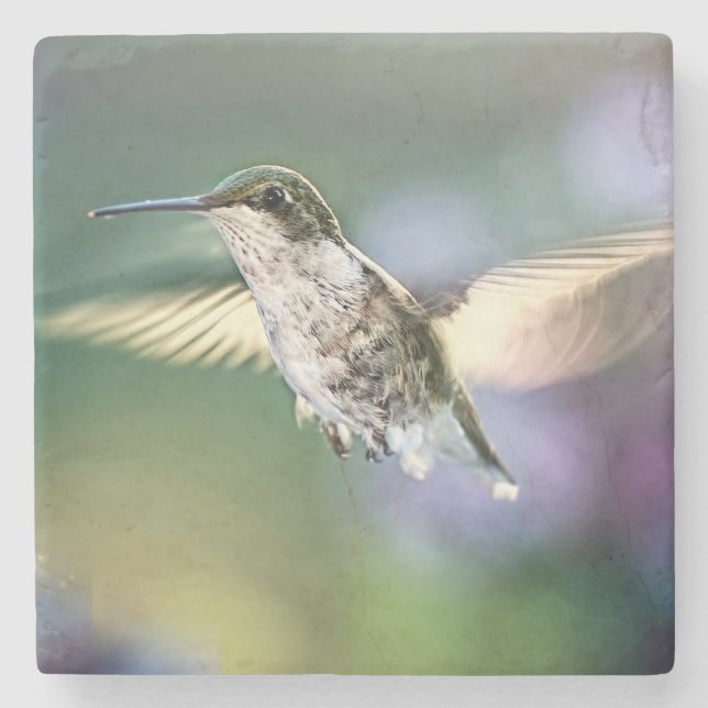 Hummingbird Flying Steinuntersetzer (Vorderseite)