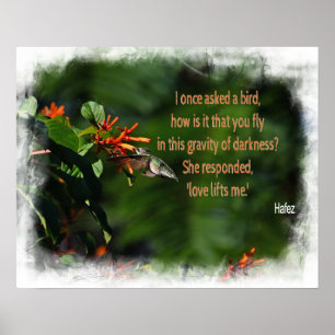 Hummingbird-Foto mit Hafez-Zitat Poster