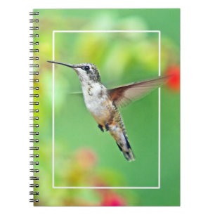 Hummingbird Fotograf Notizblock