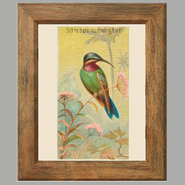 Hummingbird, Galerie Mauer Set 6, 5/6 Poster