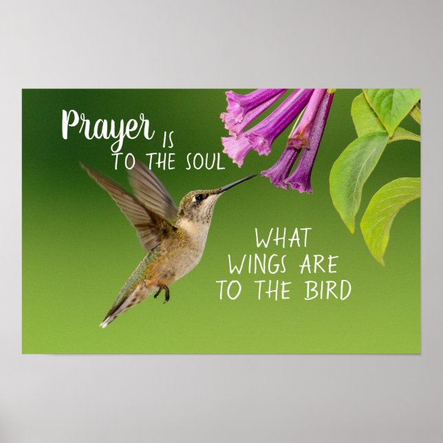 Hummingbird Gebet ist für das Soul Poster (Vorne)