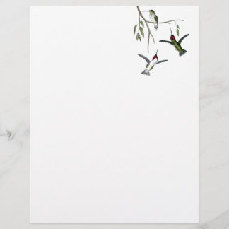 Hummingbird Gerecycelt Letterhead