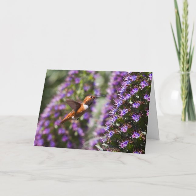 Hummingbird Grußkarte Karte (Vorderseite)