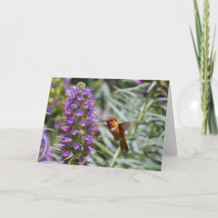 Hummingbird Grußkarte Karte