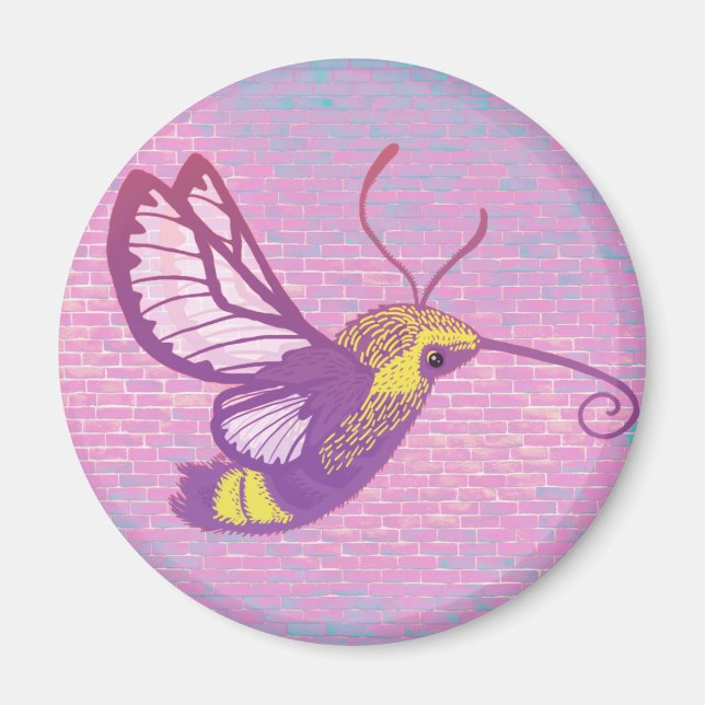 Hummingbird Hawk Moth Magnet (Vorne)