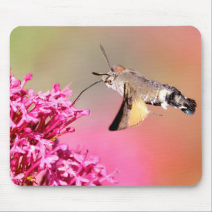 Hummingbird Hawk-Moth-Schmetterling im Flug Metal Mousepad
