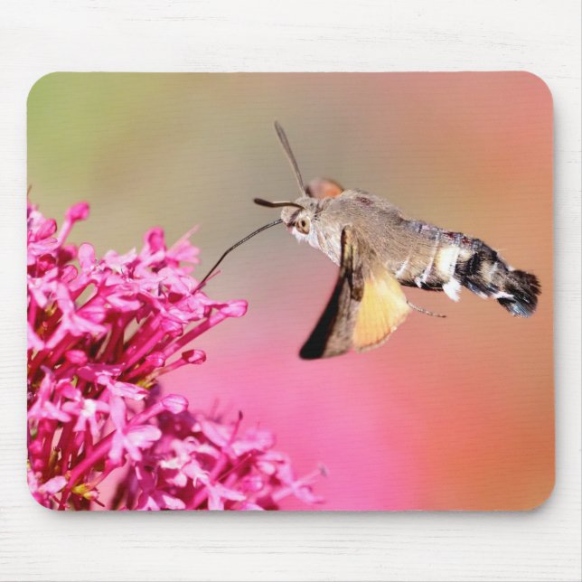 Hummingbird Hawk-Moth-Schmetterling im Flug Metal Mousepad (Vorne)