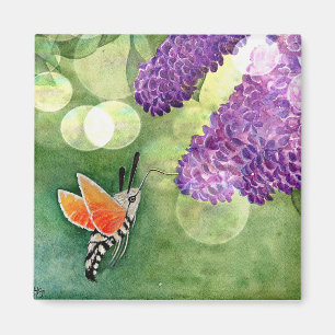 Hummingbird Hawk Moth und Lilacs Magnet