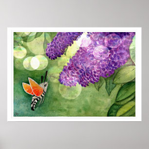 Hummingbird Hawk Moth und Lilacs Poster