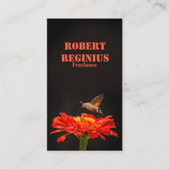 Hummingbird Hawk-moth Visitenkarte (Vorderseite)