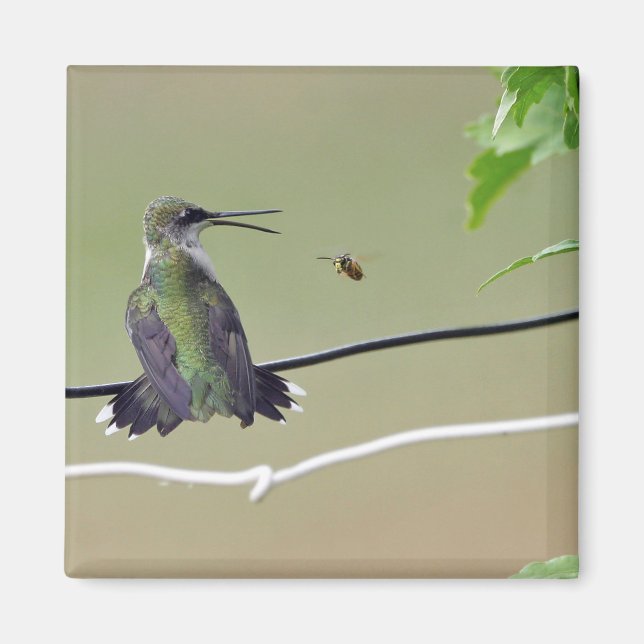 Hummingbird & Honey Bee Magnet (Vorne)