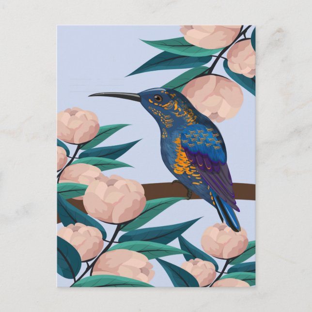 Hummingbird-Illustration Postkarte (Vorderseite)