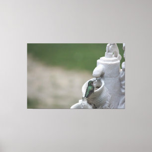 Hummingbird im Brunnen Leinwanddruck