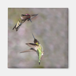 Hummingbird im Flight Magnet