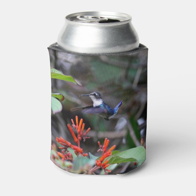 Hummingbird im Flight und in den Roten Blume Dosenkühler (Kanne Rückseite)