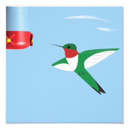 Hummingbird im Flugdruck Fotodruck