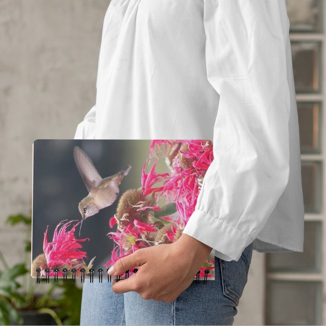 Hummingbird im Foto Planer (In Situ)