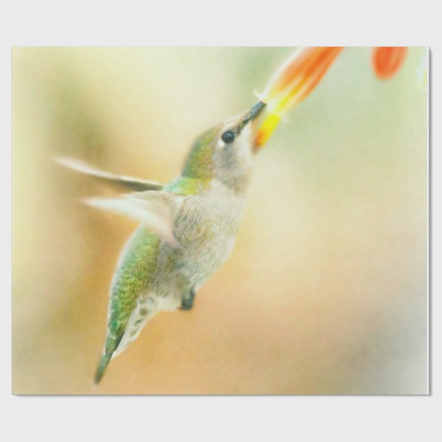 Hummingbird im Frühmorgendlicht Geschenkpapier (Flach)