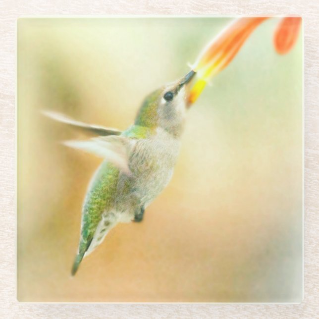 Hummingbird im Frühmorgendlicht Glasuntersetzer (Vorderseite)