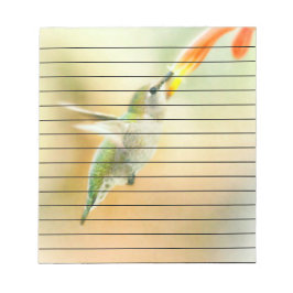 Hummingbird im Frühmorgendlicht Notizblock
