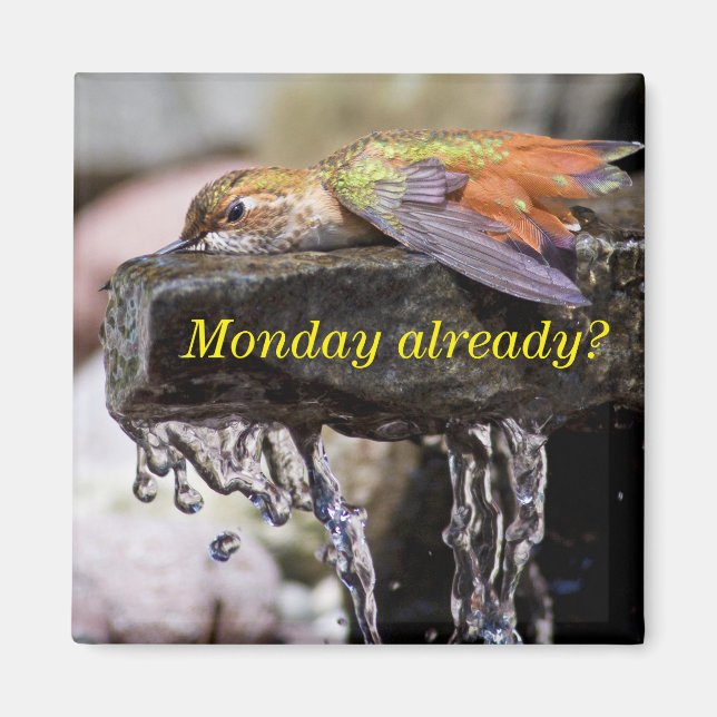 Hummingbird im Wasser 2 Magnet (Vorne)