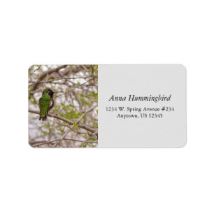 Hummingbird in den Grünfarben des Zweiten Frühling Adressaufkleber