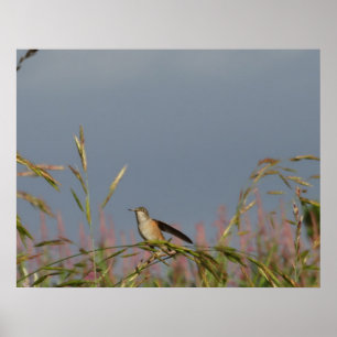 Hummingbird in Grasses Blue Sky Individuelle Name Poster