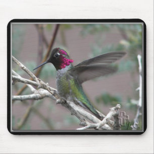 Hummingbird in meinem Garten. Mousepad