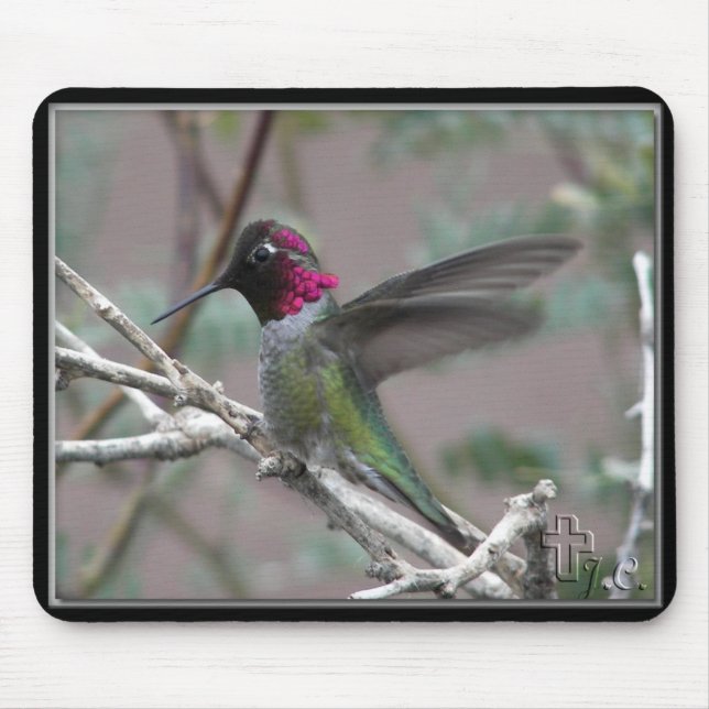 Hummingbird in meinem Garten. Mousepad (Vorne)