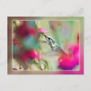Hummingbird in Soft Fuchsia Postkarte