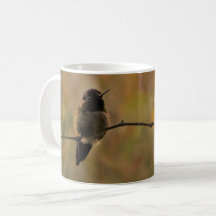 Hummingbird in warmen, gelben grünen Farben