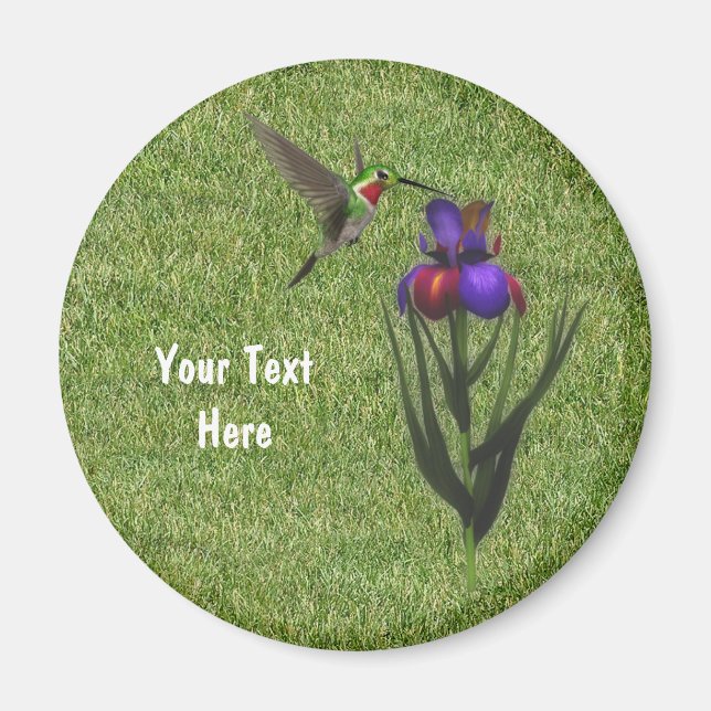 Hummingbird Iris Blume Magnet (Vorne)